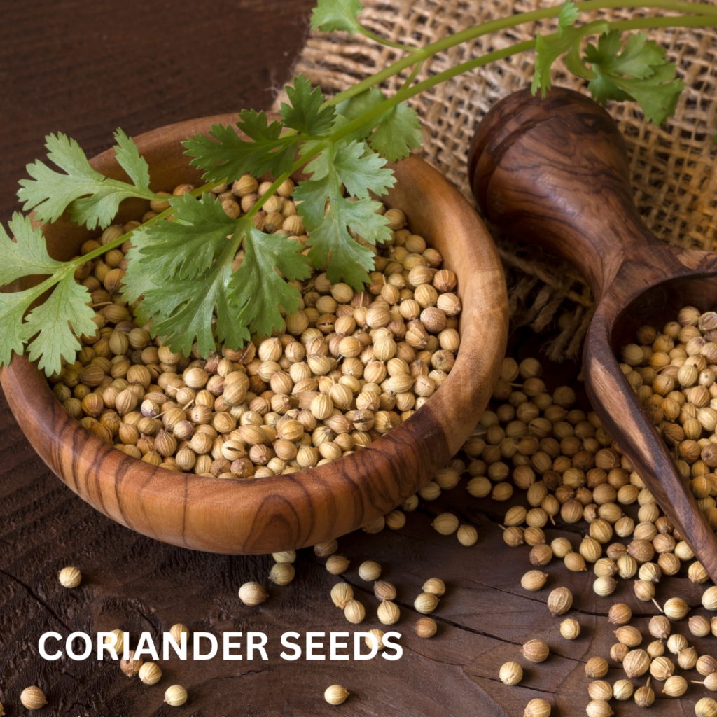 coriander seeds